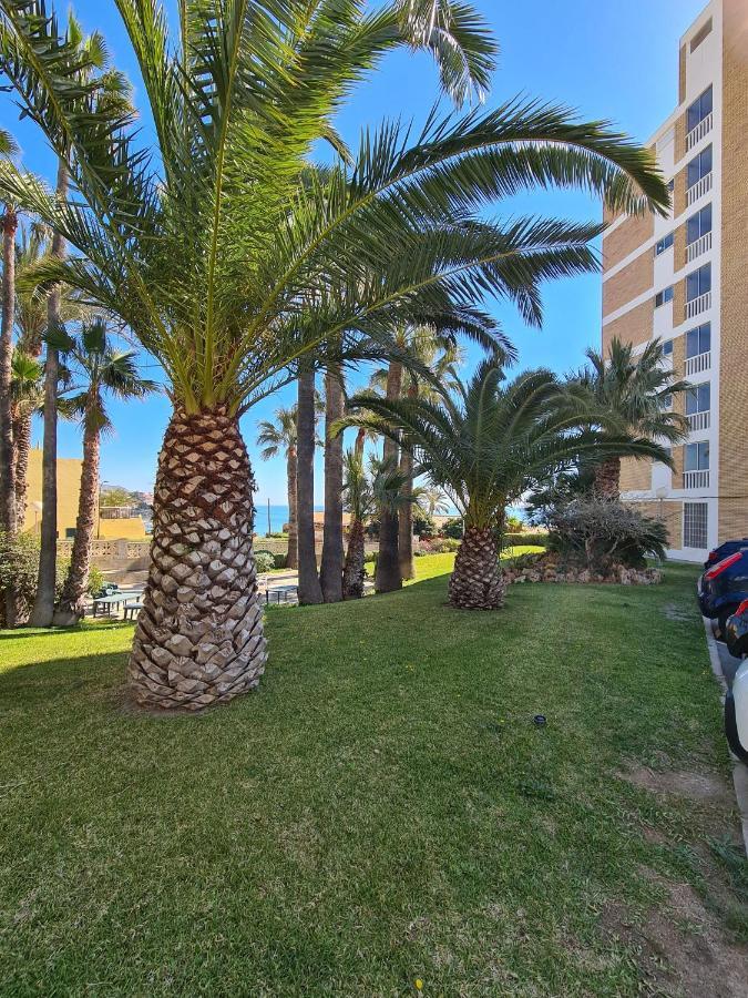 Room In Apartment - 1St Line Top Floor Apartment Carrer del Mar Bagian luar foto
